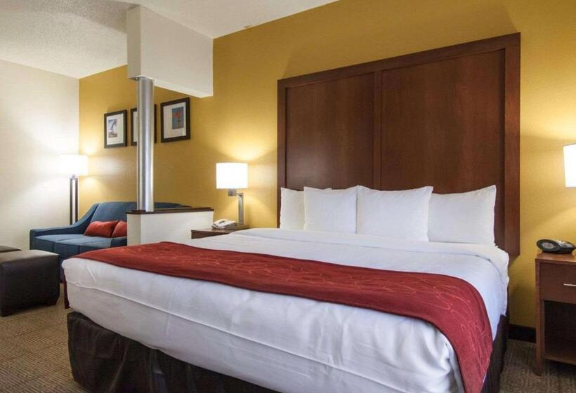 سوئیت برای معلولان, Comfort Suites Central I 44