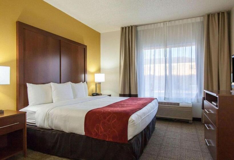 سوئیت برای معلولان, Comfort Suites Central I 44