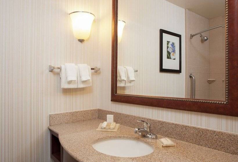 Номер Стандарт, Hilton Garden Inn St. Paul/oakdale