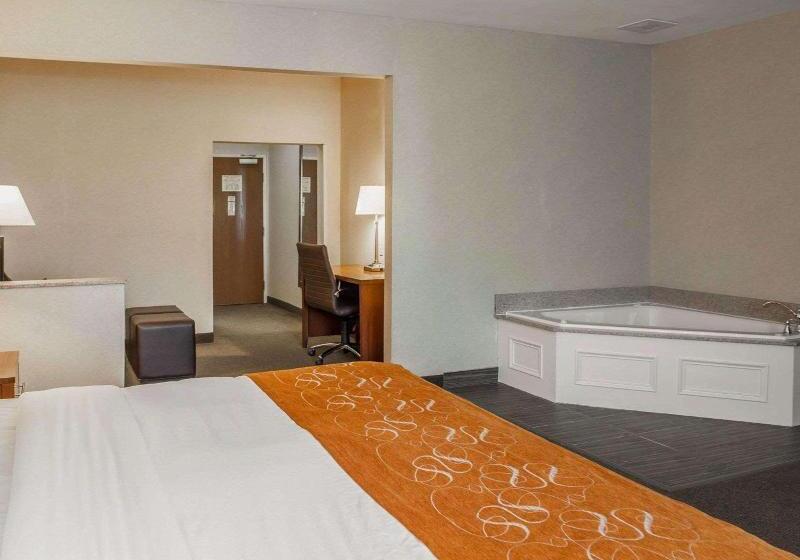 Suite Łóżko King Size, Quality Suites Ne Indianapolis Fishers