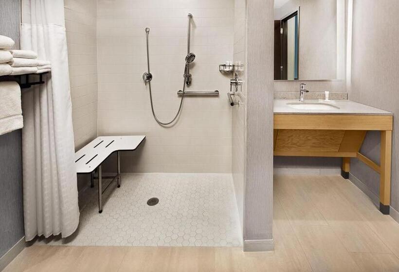 适合残疾人士使用的套间, Hyatt Place Murfreesboro