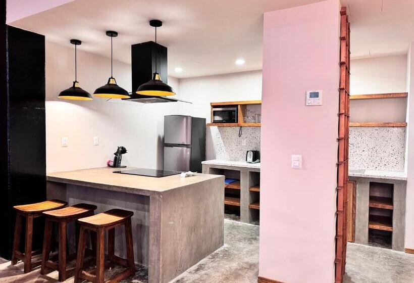 Apartamento 1 Dormitório, Olá Chapultepec