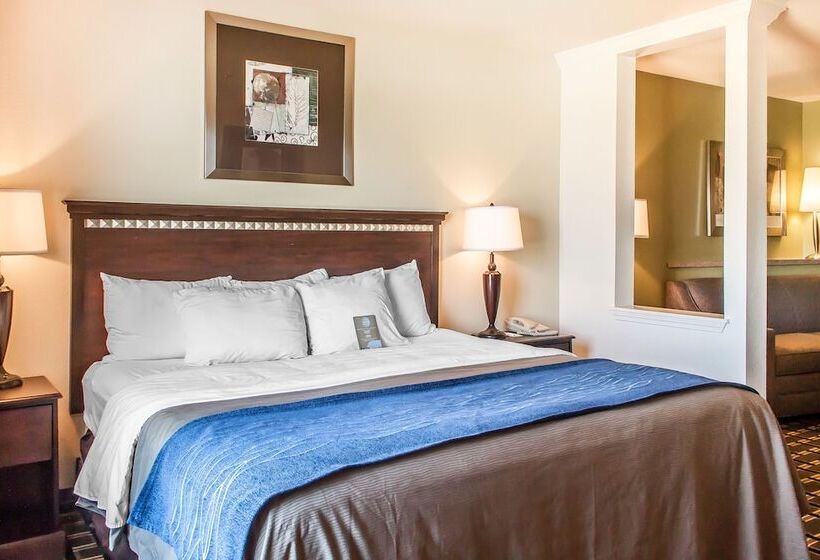 Люкс, Comfort Inn & Suites