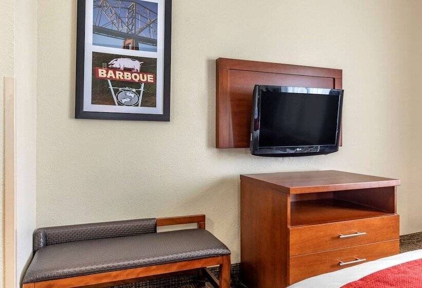 스위트, Comfort Suites Shreveport West I20
