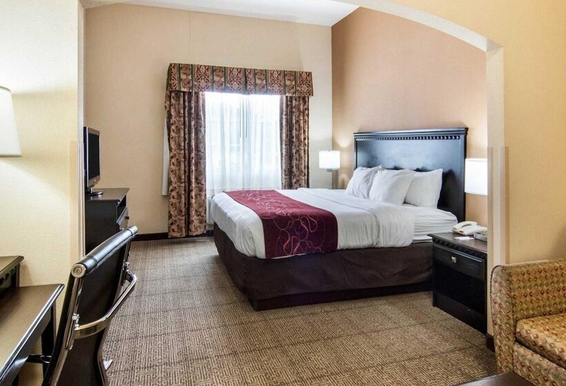 장애인을 위한 스위트, Comfort Suites Shreveport West I20