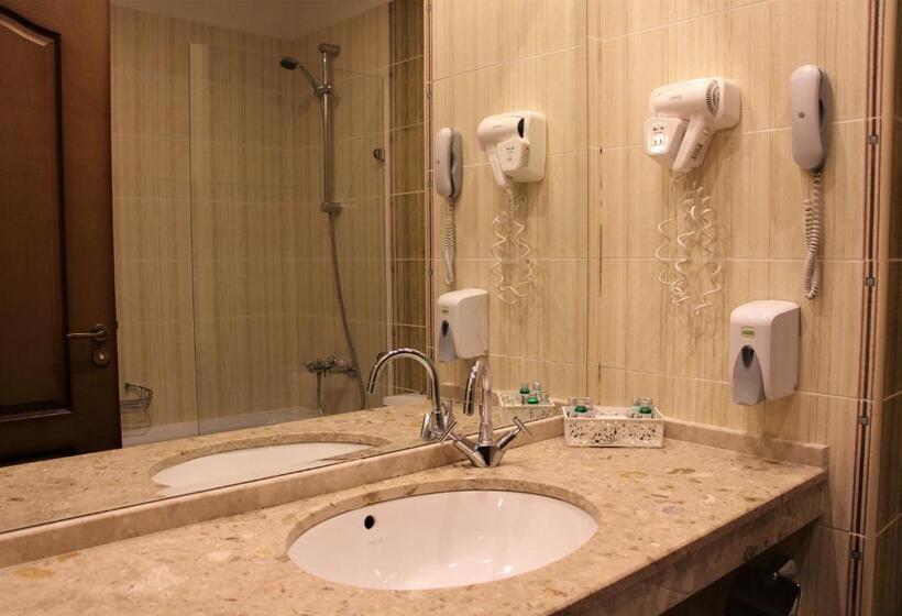 חדר סטנדרט נוף להרים, Park Hotel Panorama