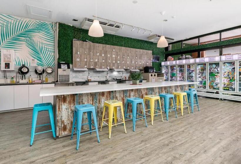 공동 객실, Tequila Sunrise Hostel Surfers Paradise