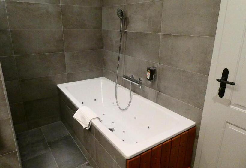 آپارتمان سوپریور 1 خوابه, Hôtel St Georges Romont