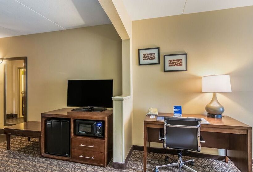 套房, Comfort Inn & Suites Panama City North
