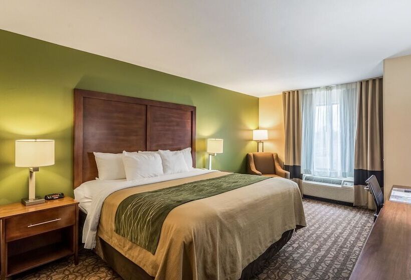 套房, Comfort Inn & Suites Panama City North