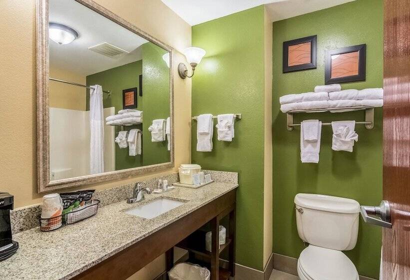 套房, Comfort Inn & Suites Panama City North