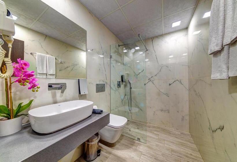 اتاق استاندارد یک نفره, Spa Hotel Kiparis