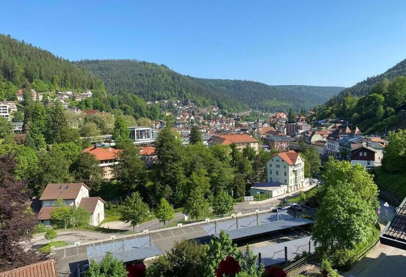 산전망 주니어 스위트, Wellnesshotel Rothfuß Mit Spa Und 2 Schwimmbädern