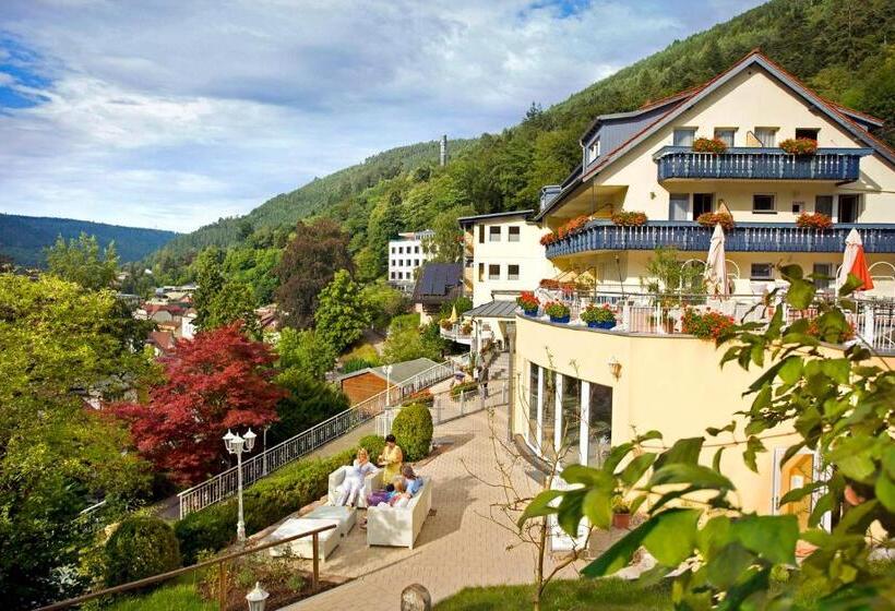 Полулюкс, Wellnesshotel Rothfuß Mit Spa Und 2 Schwimmbädern