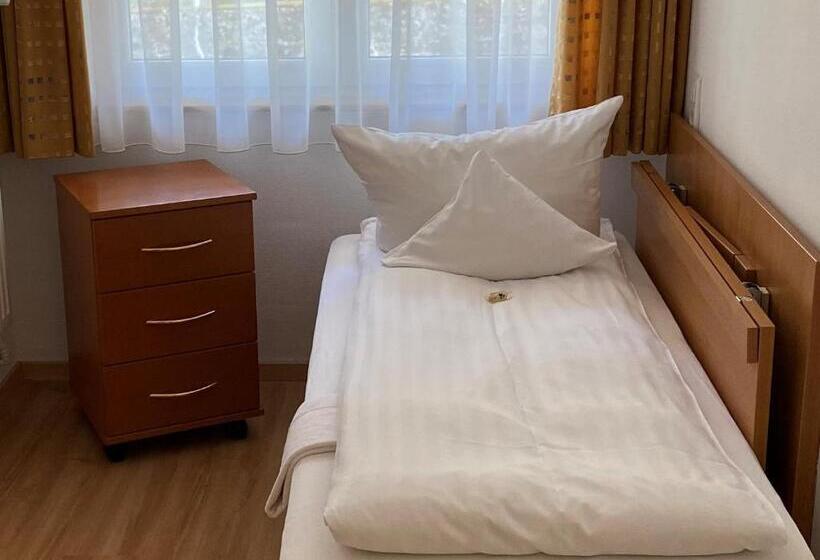 Полулюкс, Wellnesshotel Rothfuß Mit Spa Und 2 Schwimmbädern