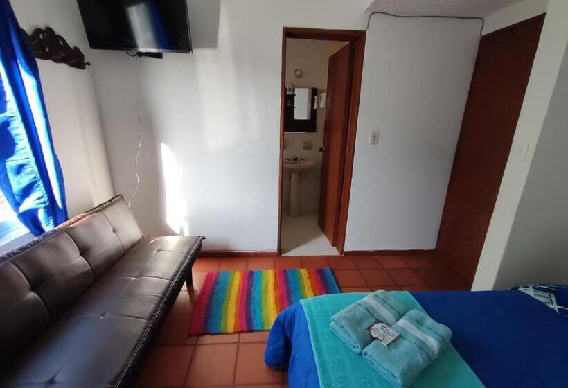标准房带园景, Hospedaje La Casa De Chavela Centro Histórico