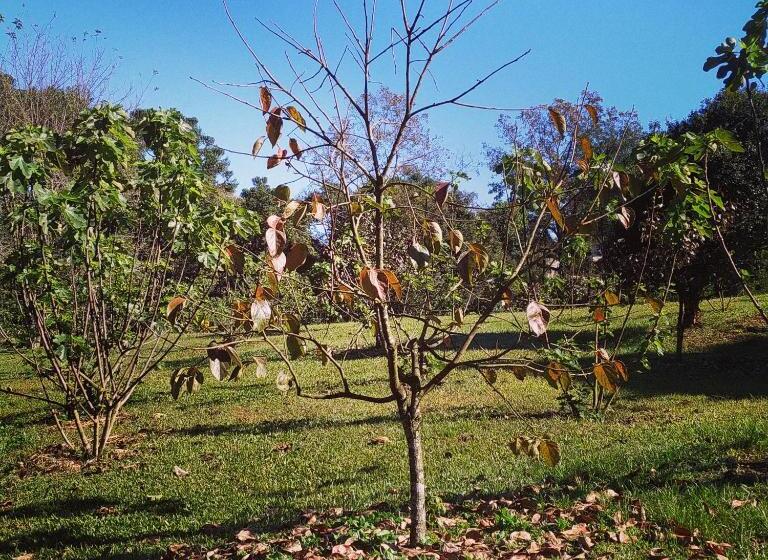 Номер Стандарт, Pousada Rural Paiol Dos Pellizzaro