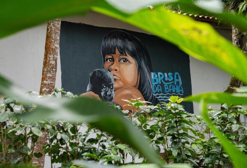 샬레, Brisa Da Bahia