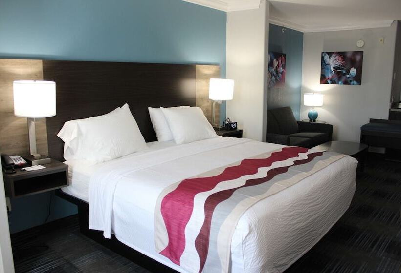 Suite, Best Western Medical Center North Inn & Suites Near Six Flags
