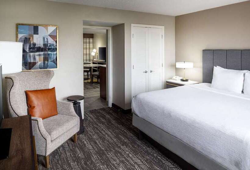 سوئیت با تخت بزرگ, Embassy Suites By Hilton Dorado Del Mar Beach Resort