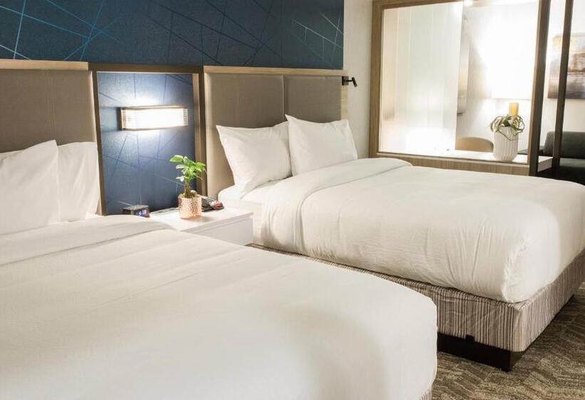 Люкс, Springhill Suites By Marriott Birmingham Gardendale
