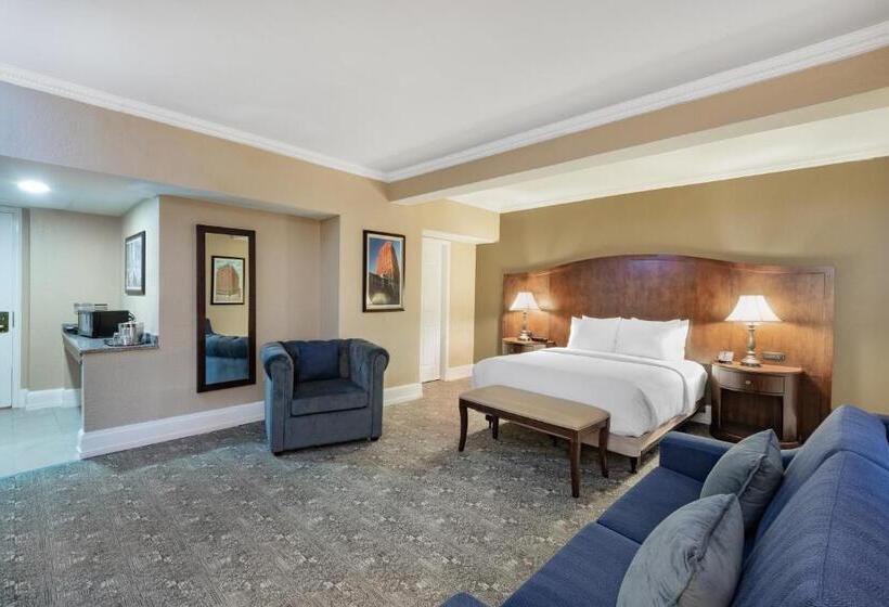 اتاق استاندارد برای معلولان, The Americus Hotel, Trademark Collection By Wyndham