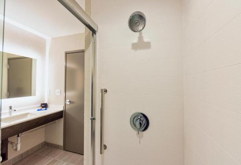 Люкс Адаптированный для Инвалидов, Holiday Inn Express & Suites   Harrisonburg University Area , An Ihg