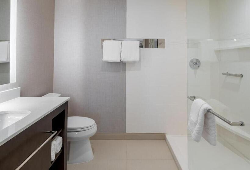 Люкс, Residence Inn By Marriott Lancaster Palmdale