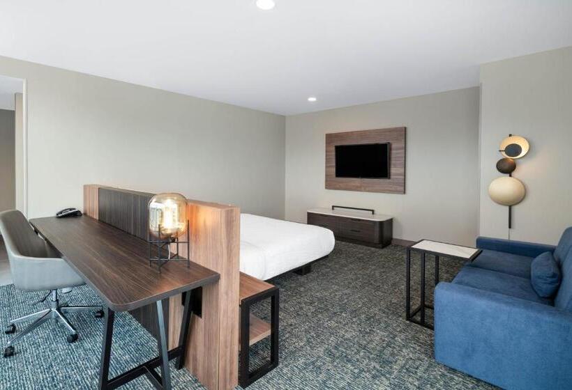 استودیو استاندارد با تخت کینگ, La Quinta Inn & Suites By Wyndham Nashville Downtown Stadium