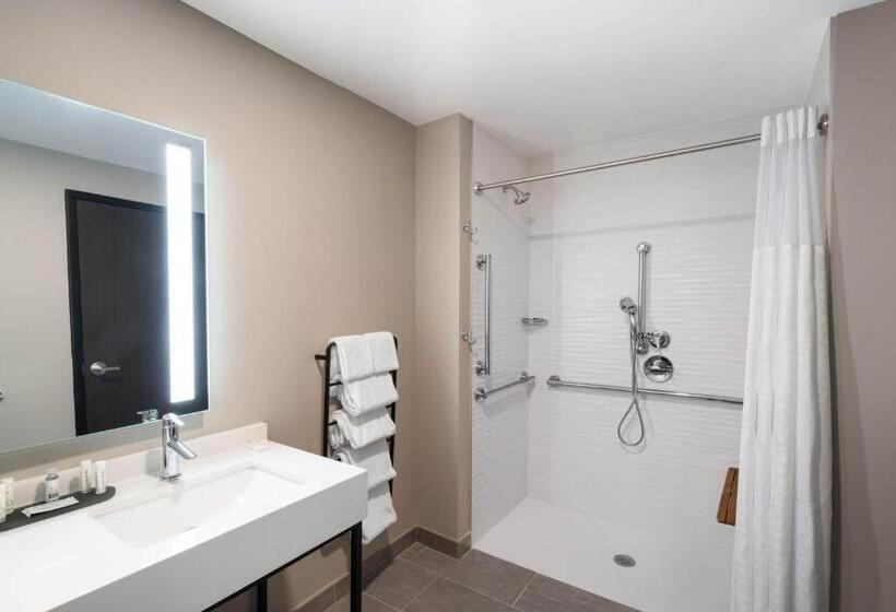 اتاق استاندارد با تخت بزرگ, La Quinta Inn & Suites By Wyndham Nashville Downtown Stadium