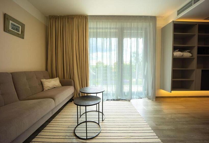수피리어 테라스 룸, Wellness Hotel Volarik