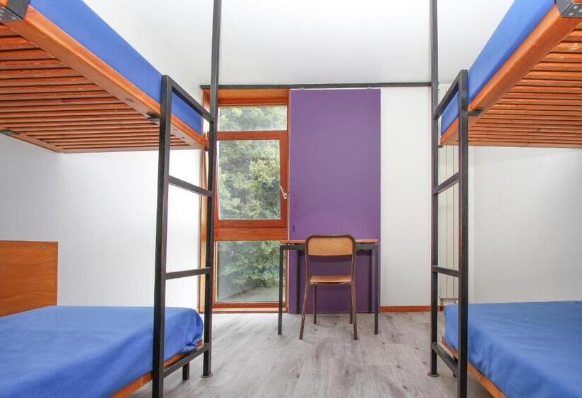 Кровать в Общей Комнате, Auberge De Jeunesse Du Moulin Blanc