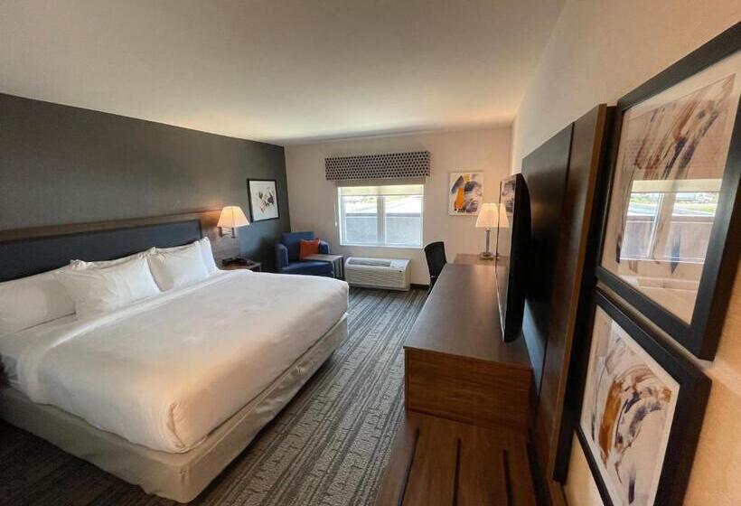 キングサイズベッドのスタンダードルーム, Comfort Inn & Suites