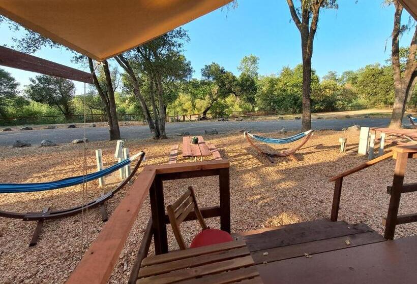高级大房间, Wildhaven Sonoma Glamping