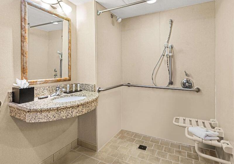 Люкс Кровать Кинг, Embassy Suites By Hilton San Marcos Hotel Conference Center
