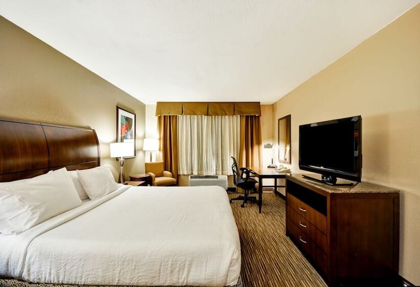 Номер Стандарт, Hilton Garden Inn Tampa North Busch Gardens