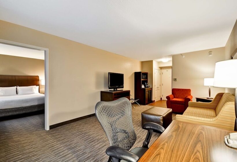 Номер Стандарт, Hilton Garden Inn Tampa North Busch Gardens