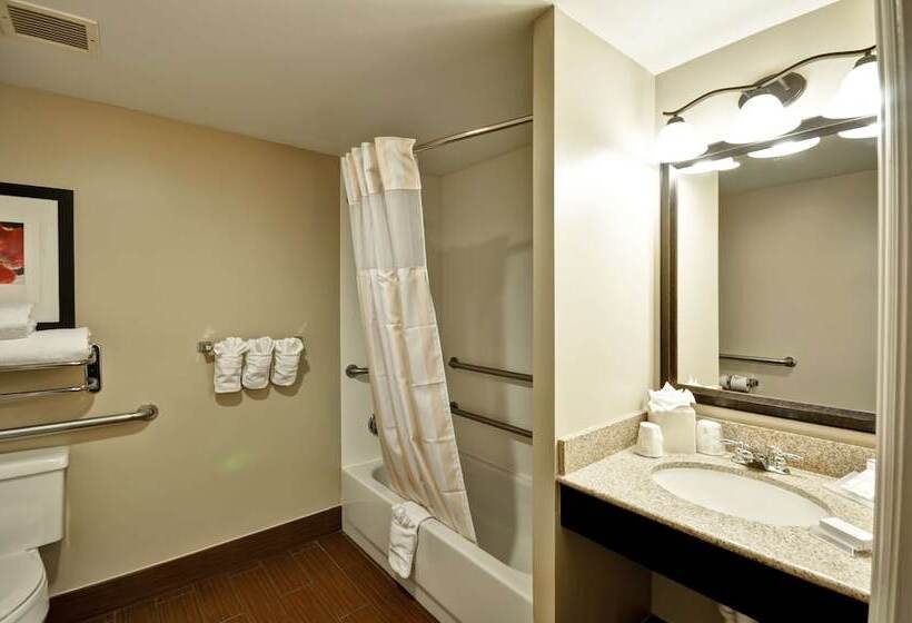Люкс Адаптированный для Инвалидов, Hilton Garden Inn Tampa North Busch Gardens