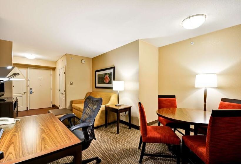 Полулюкс, Hilton Garden Inn Tampa North Busch Gardens