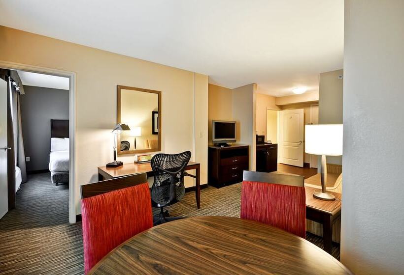 Люкс Адаптированный для Инвалидов, Hilton Garden Inn Tampa North Busch Gardens