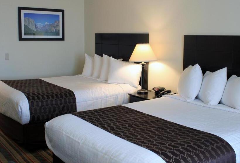 Quarto Estandar, Best Western Visalia