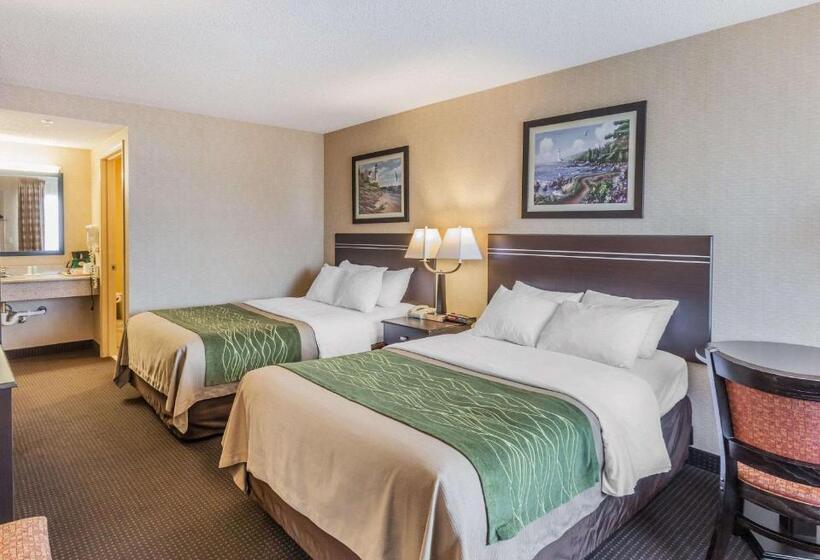 스탠다드 룸 더블 침대 2개, Comfort Inn On The Bay