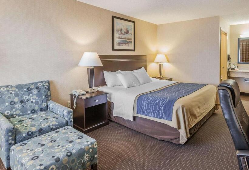 스탠다드 룸 킹사이즈 침대, Comfort Inn On The Bay