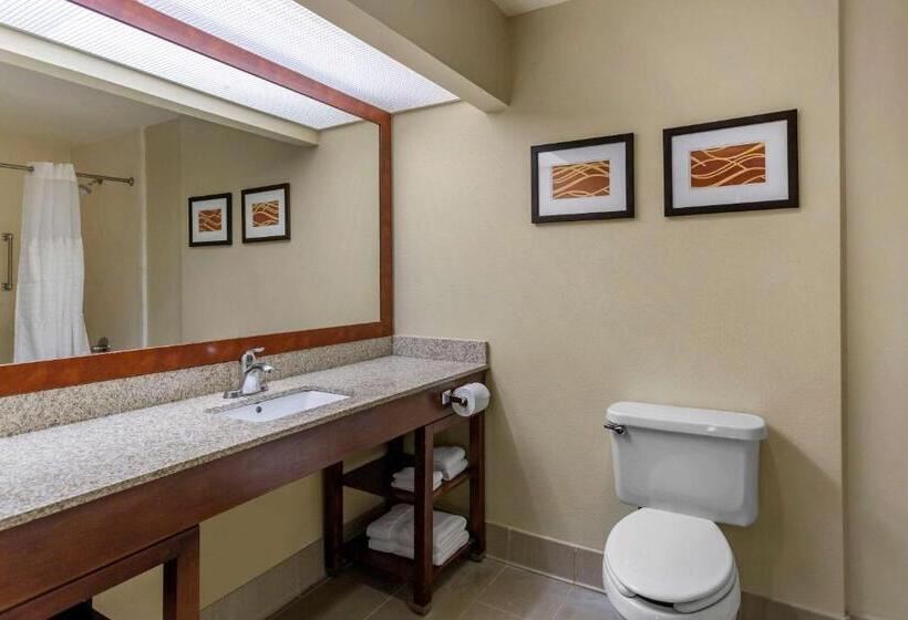 Люкс, Comfort Suites At Rivergate Mall