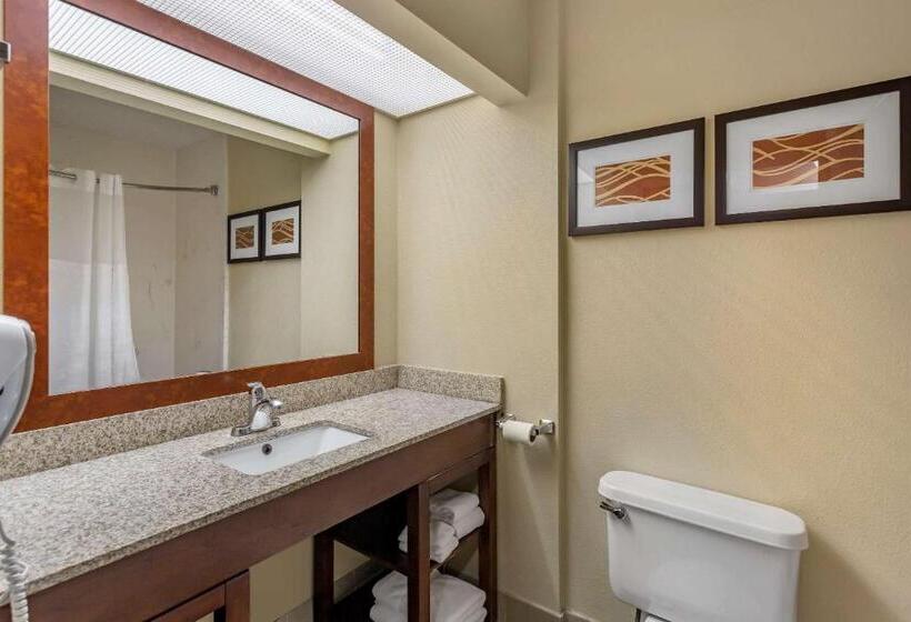 Люкс, Comfort Suites At Rivergate Mall