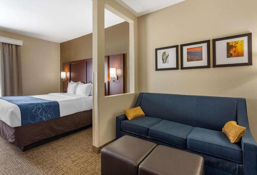 Люкс Кровать Кинг, Comfort Suites At Rivergate Mall