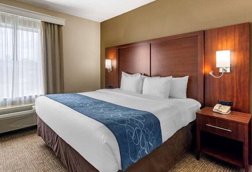 Люкс, Comfort Suites At Rivergate Mall