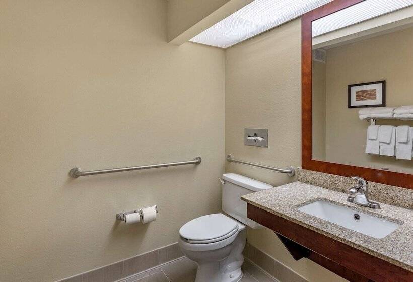 Люкс Адаптированный для Инвалидов, Comfort Suites At Rivergate Mall