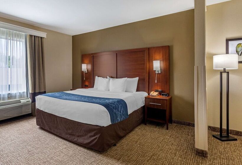 Люкс Адаптированный для Инвалидов, Comfort Suites At Rivergate Mall