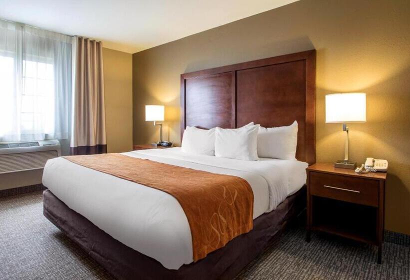 Family Suite, Comfort Suites Johnson Creek Conference Center